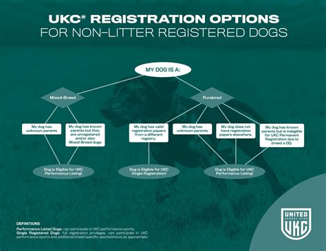 Source theabkcdogs. . How to dual register a dog ukc and abkc